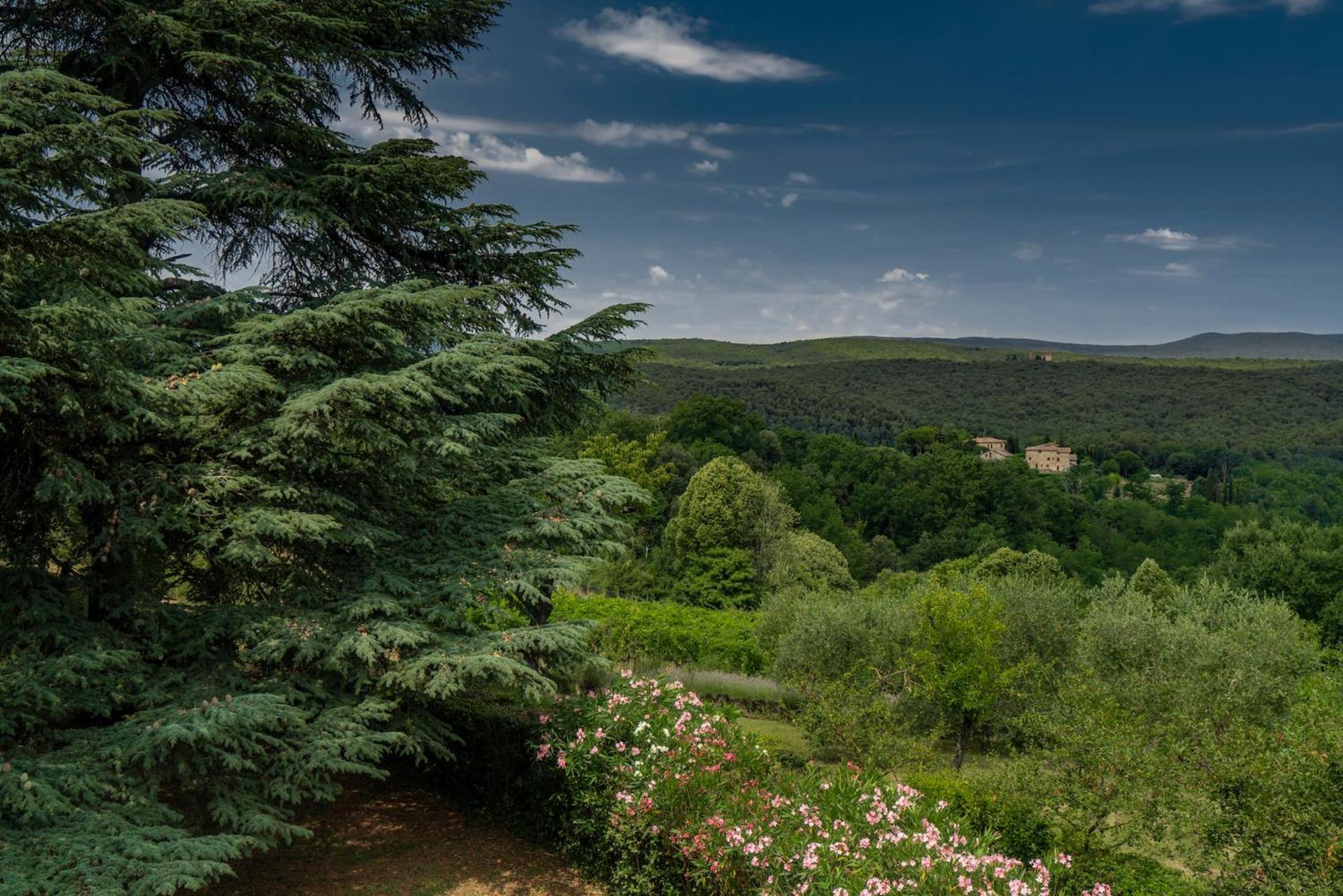 Borgo Villa Certano - Case Vacanza In Toscana Siena Exteriör bild