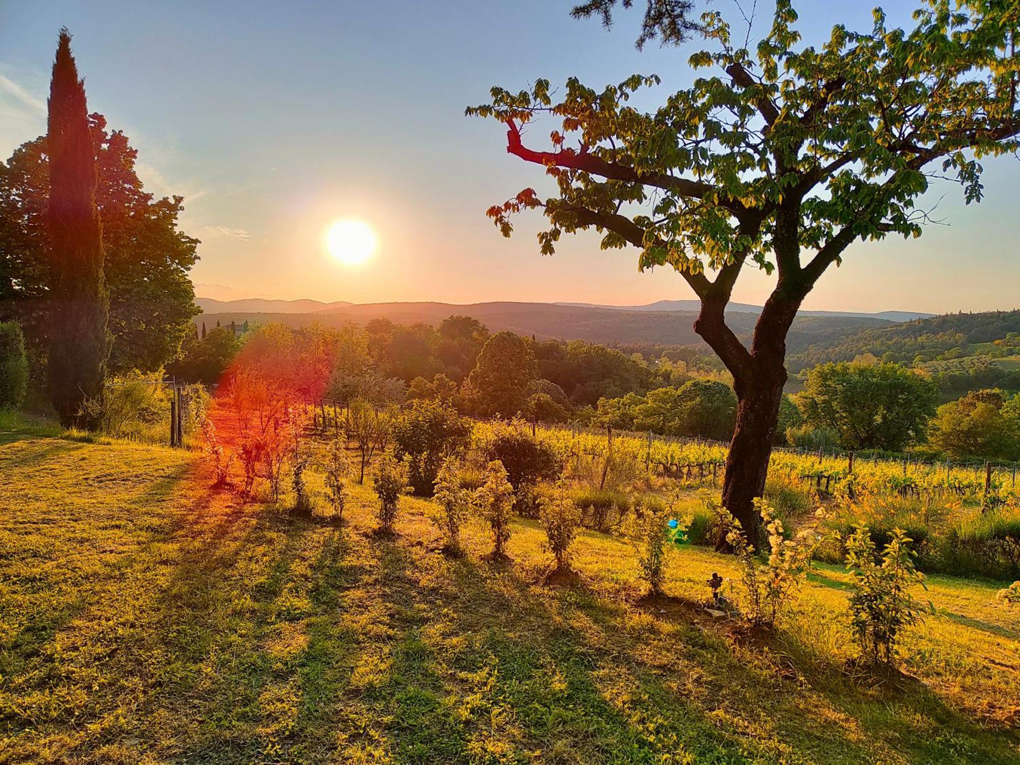 Borgo Villa Certano - Case Vacanza In Toscana Siena Exteriör bild