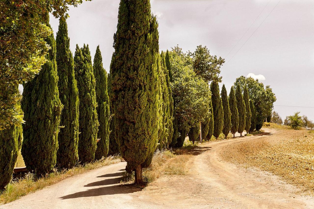 Borgo Villa Certano - Case Vacanza In Toscana Siena Exteriör bild
