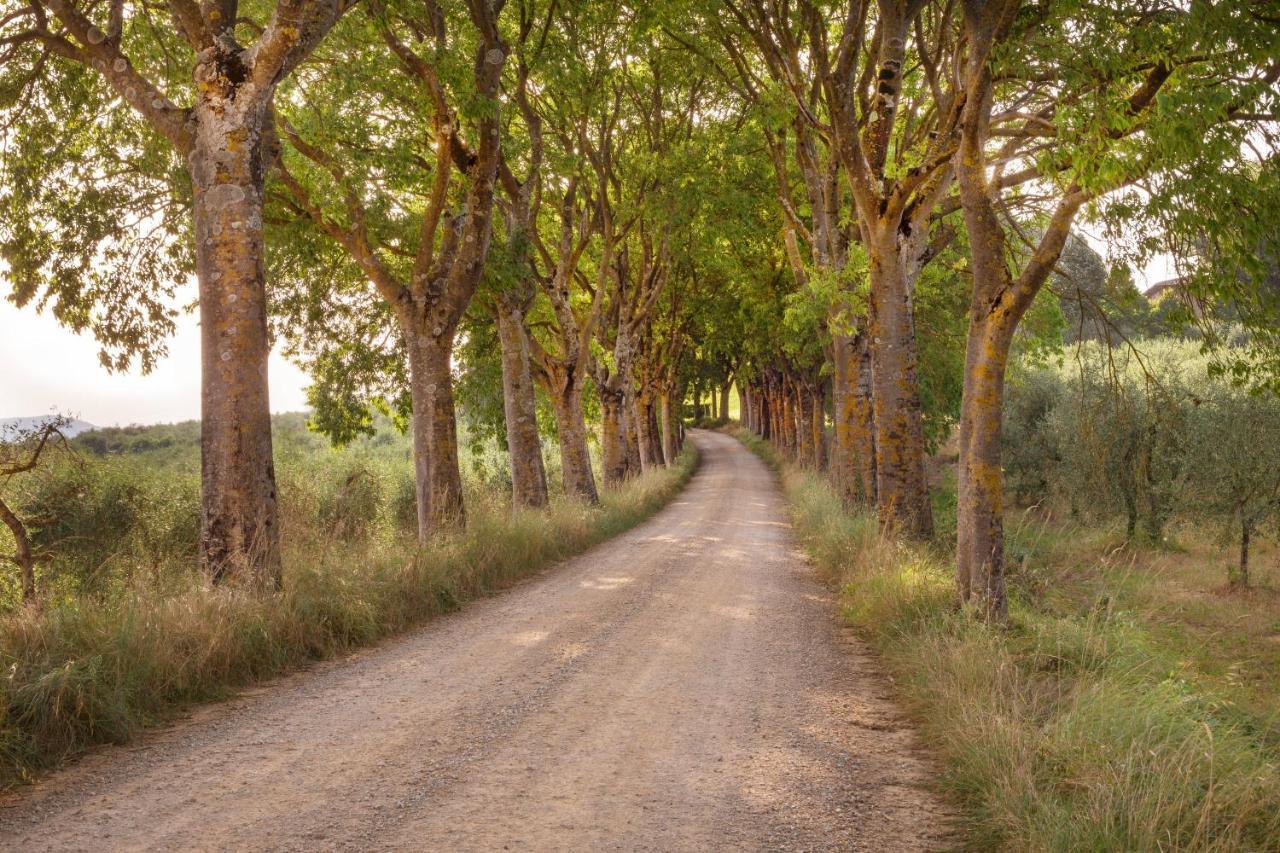 Borgo Villa Certano - Case Vacanza In Toscana Siena Exteriör bild